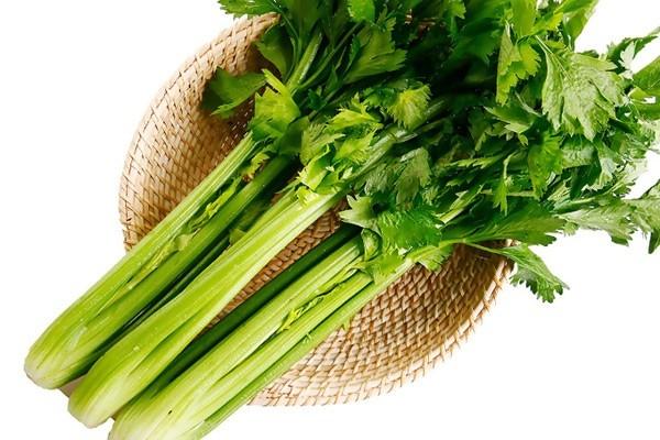 東莞農產品配送告訴你芹菜適合的生長環境